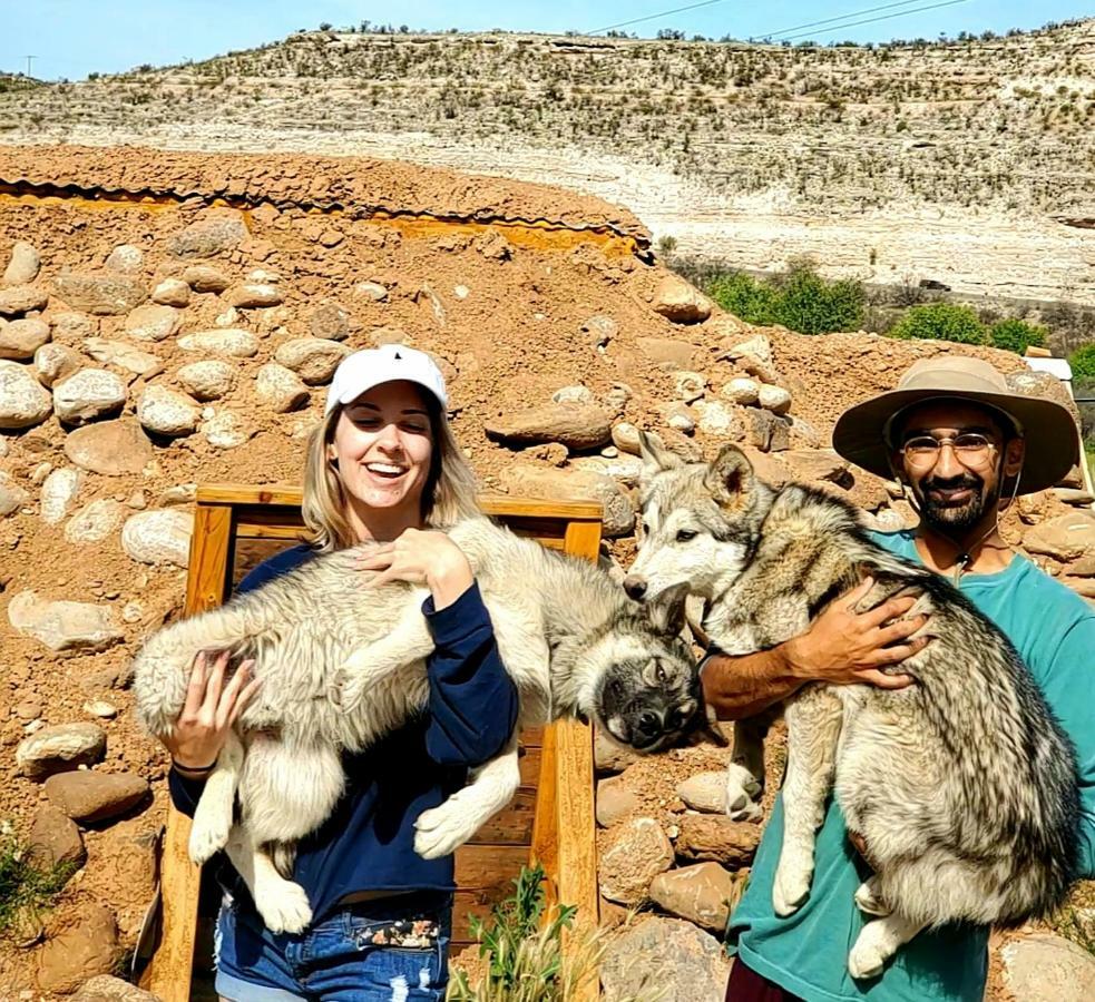 فندق سيدونافي  Cave, Yurt, Bubble And Other Glamping Adventures المظهر الخارجي الصورة