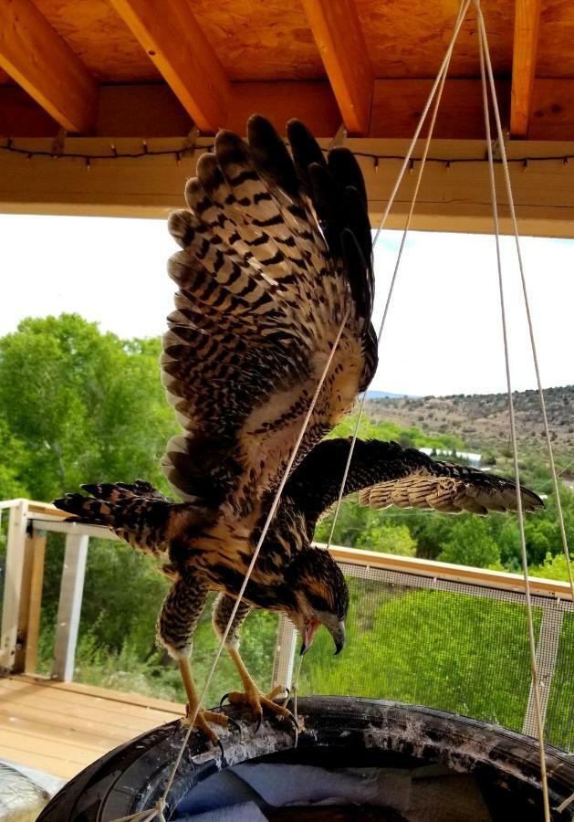 فندق سيدونافي  Cave, Yurt, Bubble And Other Glamping Adventures المظهر الخارجي الصورة